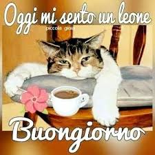 Buondi Buongiorno Buongiorno Gif Buongiorno Divertente