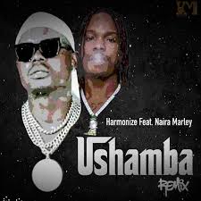 556,060 downloads diamond platnumz ntampata wapi free mp3 download | free tanzania mp3 downloads Harmonize Ushamba Remix Ft Naira Marley Mp3 Download