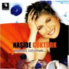 Naside Gokturk Unutmak Istiyorum Mp3 Indir Unutmak Istiyorum Muzik Indir Dinle
