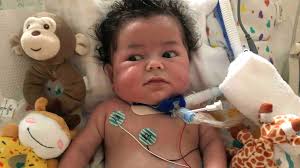 Fundraiser for Lara Casillas by Nikki Khajehnouri : Help Baby Logan & family