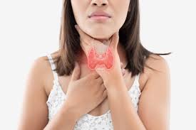 The thyroid gland is a single midline endocrine organ in the anterior neck responsible for thyroid hormone production which lies in the visceral space completely enveloped by pretracheal fascia. Thyroid Disease In Young Women Get Help From Miami Beach S Top Endocrinologist