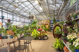 In it together - Garden Center