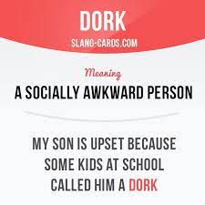 Dork Means A Socially Awkward Person Example My Son Is Upset Because Some Kids At School Ca English Phrases English Vocabulary Words Learn English Words
