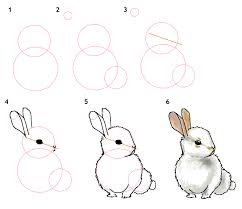 Retrouvez aussi de nombreux autres dessins et coloriages sur dessin.tv! Base De Dessin On Dessine Un Lapin Site De Wild Little Mango