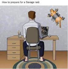 Box9 7/8x12 1/4x5 7/8 . Helpful Tips For Ffxiv Cat Owners Ffxiv