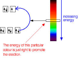 Complex Ions Colour