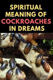 Spiritual Meaning Of Cockroaches In Dreams Spiritual Meaning Meant To Be Dream Meanings