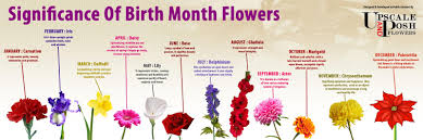 Birth Month Flowers Chart Discover The Birth Month