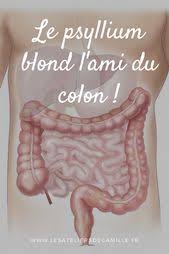 Le Psyllium Blond Un Incomparable Compagnon Nettoyer Ses Intestins Psyllium Blond Rectocolite Hemorragique