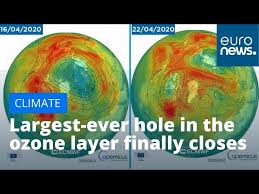 Ozone loss in the arctic vortex has been observed in several winters. Largest Ever Hole In The Ozone Layer Above Arctic Finally Closes Euronews