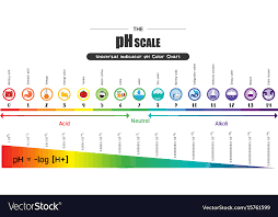 Ph Scale Universal Indicator Ph Color Chart Vector Image