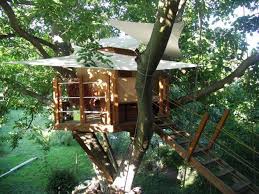 Wellness Im Garten Mit Einer Aussensauna Mit Holzofen Planungswelten Sauna Im Garten Sauna Aussensauna