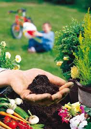 Maybe you would like to learn more about one of these? Soil Mix Purpose And Compostion Learn To Choose Well