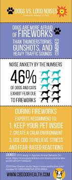 Because benadryl overdose can really harm your dog. Keep Your Pet Calm During Fireworks Cbd Dog Health