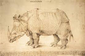 We did not find results for: Animals In Art Albrecht Durer