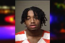 Devon Stevens — Paulding County Jail Bookings