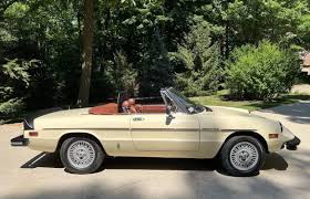 Image result for Avorio 1981 Alfa-Romeo