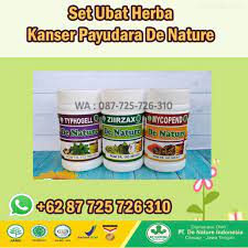 Kanser payudara bermula dari sel payudara. Storymapjs Nama Ubat Kanser Payudara Dan Dadah Kelenjar Limfa