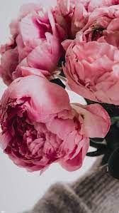 Pin By Maria Kapadia On Flowers Flower Iphone Wallpaper Flower Phone Wallpaper Beautiful Flowers
