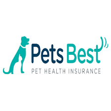 Whether a car is old or new, having a car insurance policy is a necessity. Pets Best Health Insurance Online