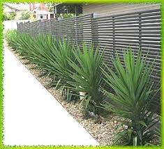 Check spelling or type a new query. Weddings Babies And Life In General The Plants Landscaping Thread Front Yard Garden Design Front Yard Garden Front Yard Landscaping
