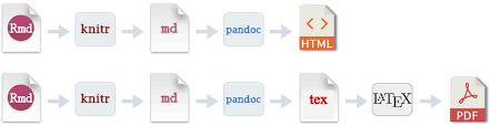 Check spelling or type a new query. Introduction To R Markdown