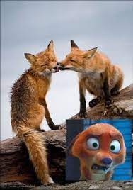 Pin On Zootopia
