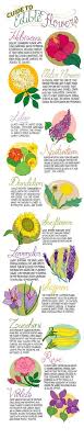 56 Best Flower Charts Images In 2019 Flower Chart