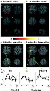 These factors provide stimuli to the per­ceiver. Rapid Prefrontal Hippocampal Habituation To Novel Events Journal Of Neuroscience