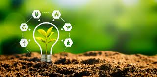 Eco-Conscious Buyers Are Shifting Consumer Trends, Here's How Retailers Are  Responding