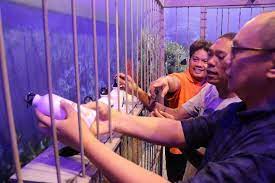 Get exclusive deals with groupon®. Nikmati Wahana Pandora Menjelang Film Escape Room Tayang Seleb Tempo Co