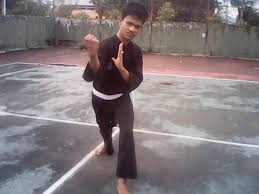 Cara melakukannya sebagai berikut pernahkah kamu amati langit pada malam hari? 5 Pukulan Dalam Teknik Dasar Pencak Silat Pukulan Lurus
