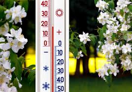 Was experten über den frühling sagen und wann das wetter besser wird. Endlich Kommt Der Fruhling Viel Sonne Und Bis Zu 21 C