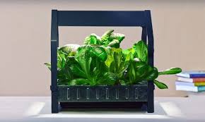 Ikea Launches Indoor Garden That Can Grow Food All Year Round Indoor Gardening Kit Hydroponic Gardening Ikea Indoor Garden