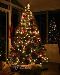 Craigslist Post For Free Artificial Tree Leads Couple To Give Away Hundreds Of Christmas Trees The Denver Post Download icons in all formats or edit them for your. christmas trees