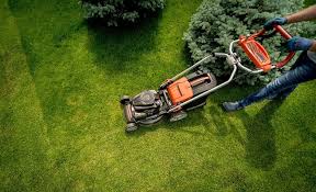 Search lawn care to find your next lawn care job near me. Hiring A Lawn Care Service Why To Hire One Absolute Lawn Pros