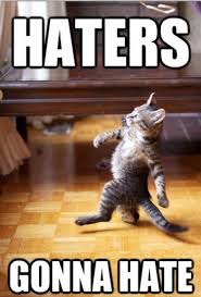 Only Cat People Will Understand These Joys Of Cat Ownership Funny Friday Memes Funny Animals Funny Memes