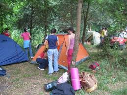 Ecologist = persoana care militează pentru protecția mediului, activistul pentru mediu, cel care se luptă concret pentru salvarea/protejarea/curățarea mediului. Scoala De Ecologie Pasionatii De Mediu Pot Fi Ecologisti Cu Diploma