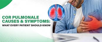 Image result for Cor Pulmonale