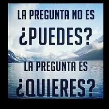 Cual Es La Pregunta Facilitando La Mejor Informacion Kissimme Cual Es La Pregunta Facilitando Forex Trading Strategies Trading Strategies Forex Trading