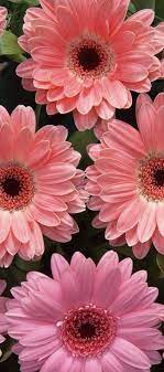 Pin On Beautiful Things