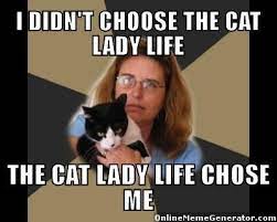 I Didn T Choose The Cat Lady Life Onlinememegenerator Cat Lady Meme Crazy Cat Lady Crazy Cats