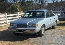 Image result for Sable Brown 1984 Plymouth