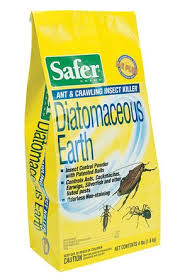 Diatomaceous Earth Kills Fleas Ticks Roaches Etc Inside And Out Safe For Humans And Pets You Can Even E Diatomaceous Earth Insect Killer Garden Supplies