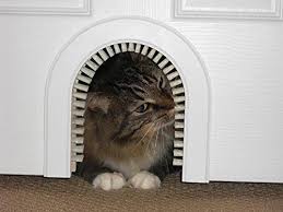 In Need For Some Creative Diy Home Projects If You Re A Cat Owner Then These Home Diy Projects Are Just The Thing That You Cat Door Cat Litter Box Buy