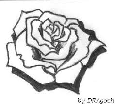 Un peisaj cu trandafiri in creion : Desene In Creion Cu Trandafiri Shefalitayal