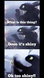 Httyd Memes How To Train Dragon How Train Your Dragon How To Train Your Dragon