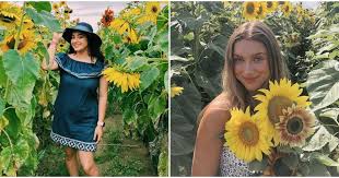 You Can Pick Sunflowers For 1 Each At This Magical Field Near Houston In 2020 Sunflower Season Sunflower Houston