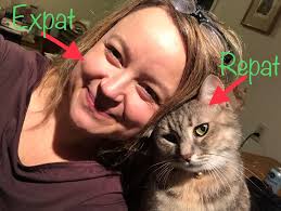 Hello everyone, I was wondering if there is anyone here that can understand  and explain this blood test to me and if there is any problem with the cat.  I did this