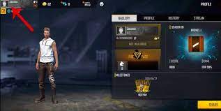 For which they have made their clans and they do live streaming on youtube. Easy Ways To Change Nickname In Free Fire Ff Game News